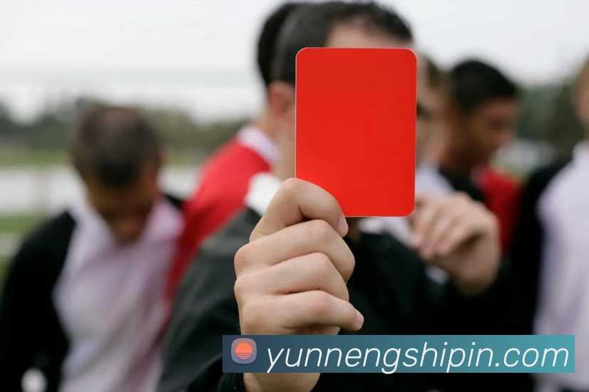 数据分析功能
